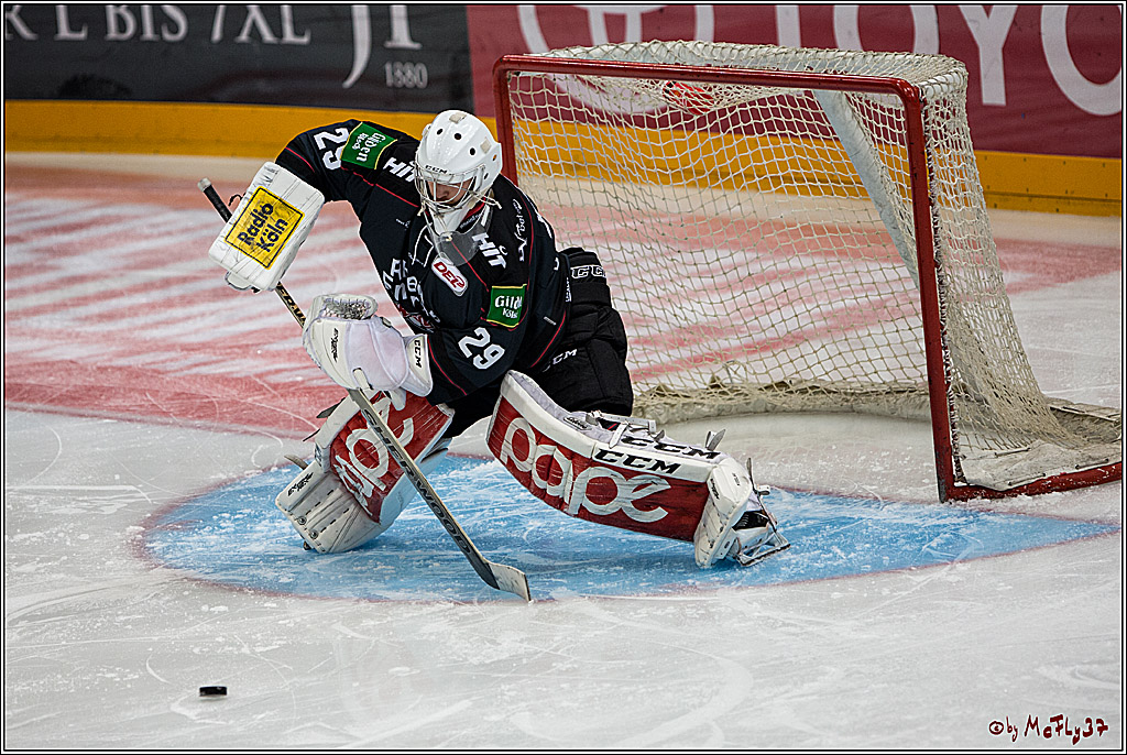 Koelner Haie - Pinguins Bremerhaven, 25.10.2016